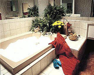Lagos At A Ramada By Wyndham Hotel 3*
